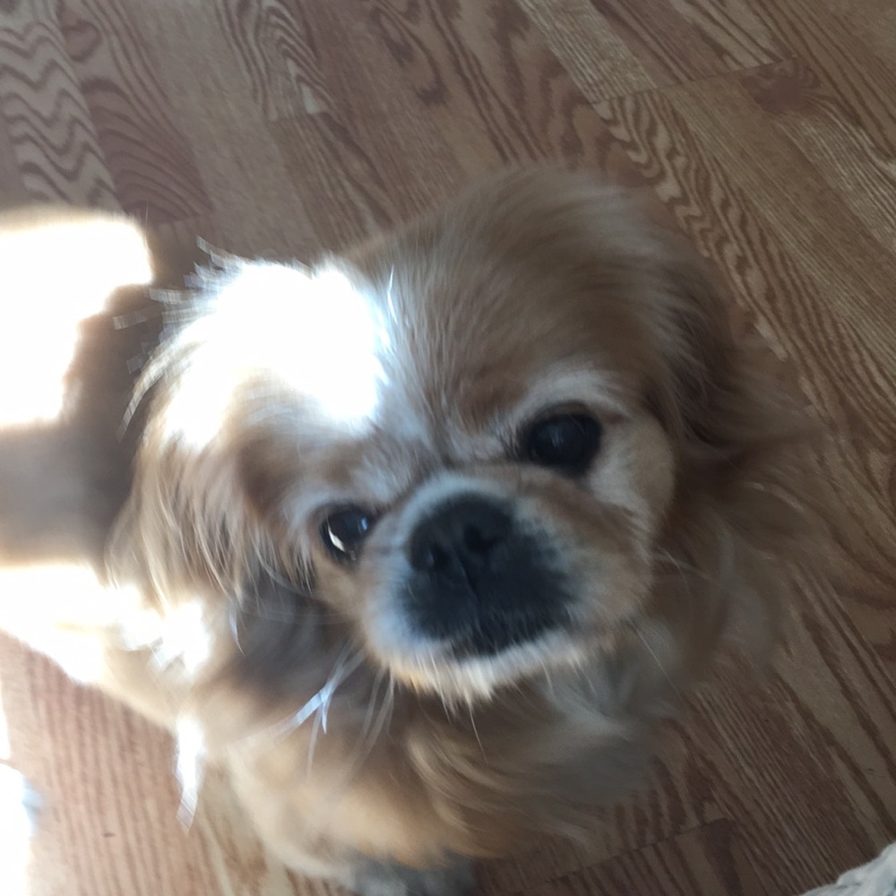 Meet your Posher, Orlando